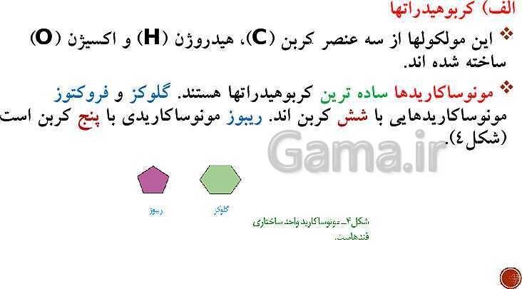 پاورپوینت تدریس زیست شناسی (1) دهم تجربی | فصل 1: دنیای زنده (گفتار 1 تا 3)- پیش نمایش