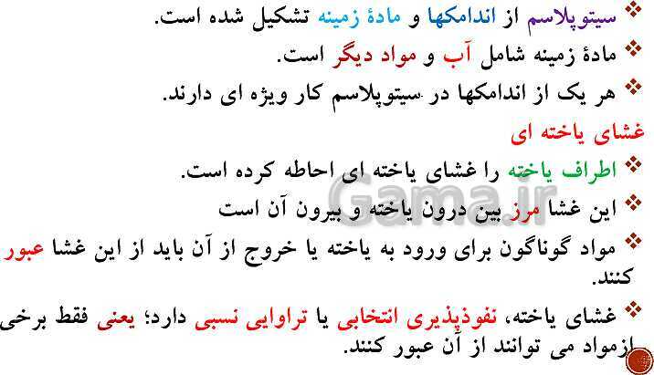 پاورپوینت تدریس زیست شناسی (1) دهم تجربی | فصل 1: دنیای زنده (گفتار 1 تا 3)- پیش نمایش