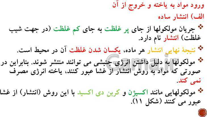 پاورپوینت تدریس زیست شناسی (1) دهم تجربی | فصل 1: دنیای زنده (گفتار 1 تا 3)- پیش نمایش