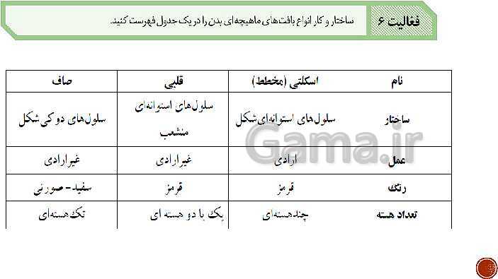 پاورپوینت تدریس زیست شناسی (1) دهم تجربی | فصل 1: دنیای زنده (گفتار 1 تا 3)- پیش نمایش