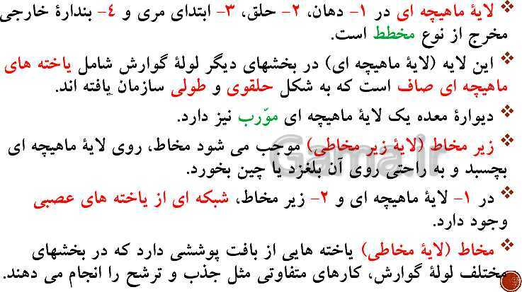 پاورپوینت تدریس زیست شناسی (1) دهم تجربی | فصل 2: گوارش و جذب مواد (گفتار 1 تا 3)- پیش نمایش