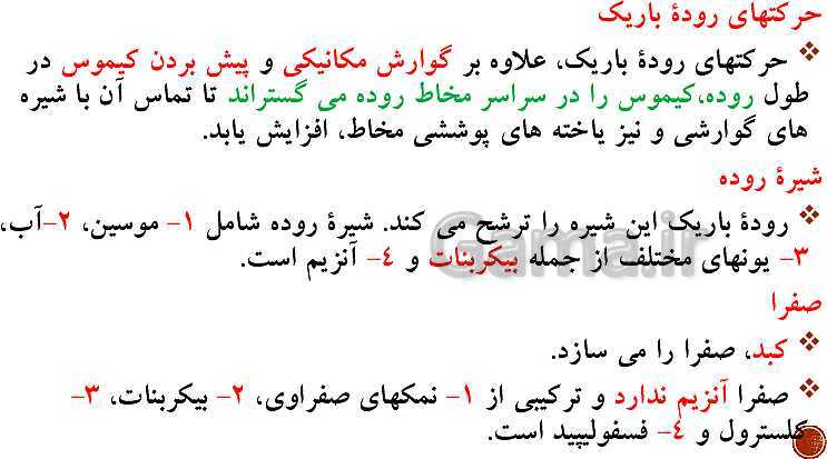 پاورپوینت تدریس زیست شناسی (1) دهم تجربی | فصل 2: گوارش و جذب مواد (گفتار 1 تا 3)- پیش نمایش