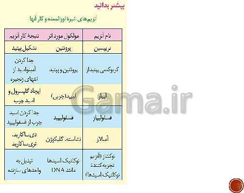 پاورپوینت تدریس زیست شناسی (1) دهم تجربی | فصل 2: گوارش و جذب مواد (گفتار 1 تا 3)- پیش نمایش