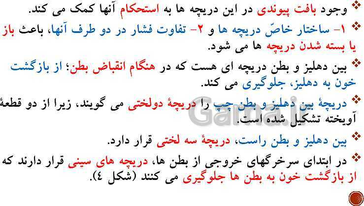 پاورپوینت تدریس زیست شناسی (1) دهم تجربی | فصل 4: گردش مواد در بدن (گفتار 1 تا 4)- پیش نمایش