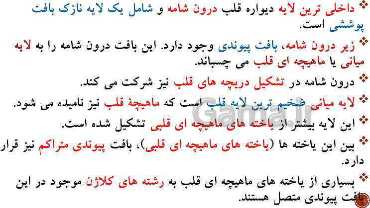 پاورپوینت تدریس زیست شناسی (1) دهم تجربی | فصل 4: گردش مواد در بدن (گفتار 1 تا 4)- پیش نمایش