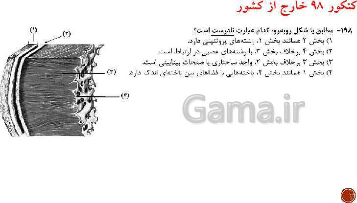 پاورپوینت تدریس زیست شناسی (1) دهم تجربی | فصل 4: گردش مواد در بدن (گفتار 1 تا 4)- پیش نمایش