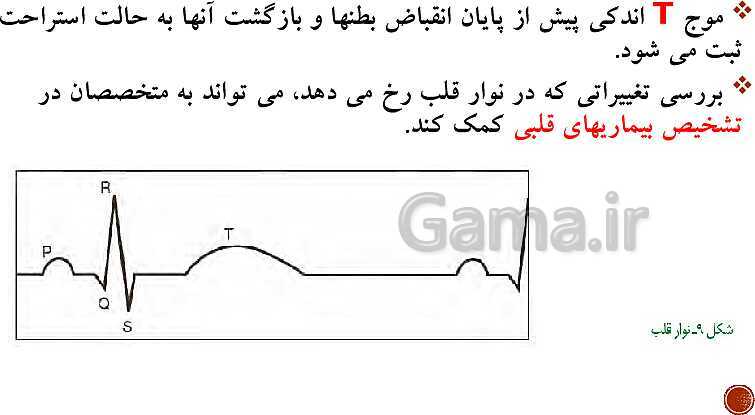 پاورپوینت تدریس زیست شناسی (1) دهم تجربی | فصل 4: گردش مواد در بدن (گفتار 1 تا 4)- پیش نمایش