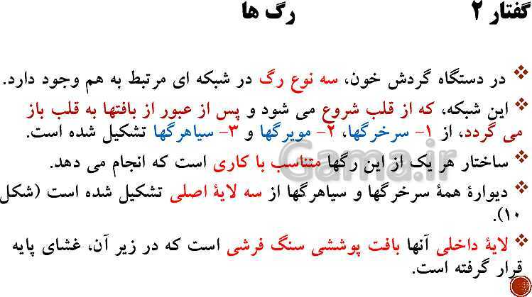 پاورپوینت تدریس زیست شناسی (1) دهم تجربی | فصل 4: گردش مواد در بدن (گفتار 1 تا 4)- پیش نمایش