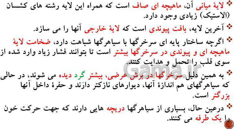 پاورپوینت تدریس زیست شناسی (1) دهم تجربی | فصل 4: گردش مواد در بدن (گفتار 1 تا 4)- پیش نمایش