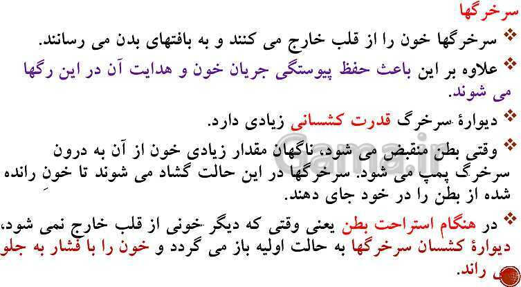 پاورپوینت تدریس زیست شناسی (1) دهم تجربی | فصل 4: گردش مواد در بدن (گفتار 1 تا 4)- پیش نمایش