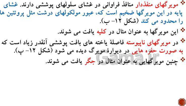 پاورپوینت تدریس زیست شناسی (1) دهم تجربی | فصل 4: گردش مواد در بدن (گفتار 1 تا 4)- پیش نمایش