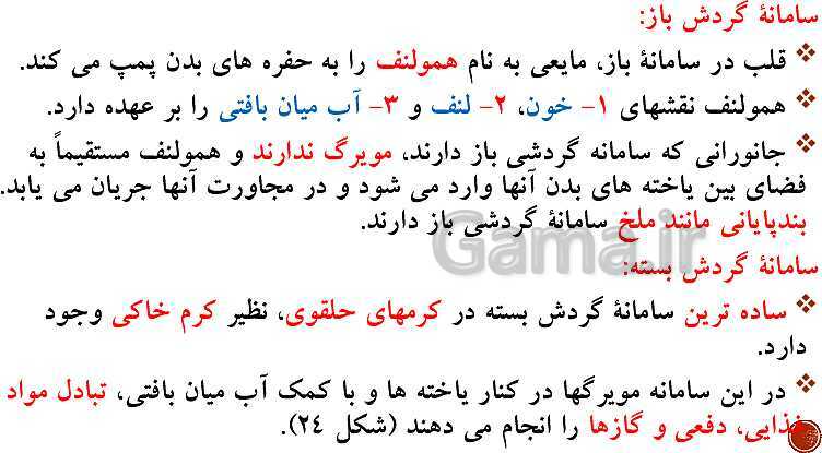 پاورپوینت تدریس زیست شناسی (1) دهم تجربی | فصل 4: گردش مواد در بدن (گفتار 1 تا 4)- پیش نمایش