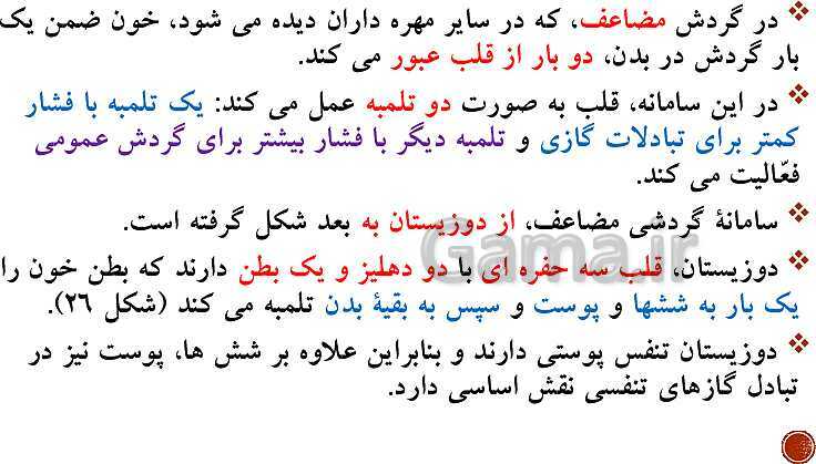 پاورپوینت تدریس زیست شناسی (1) دهم تجربی | فصل 4: گردش مواد در بدن (گفتار 1 تا 4)- پیش نمایش