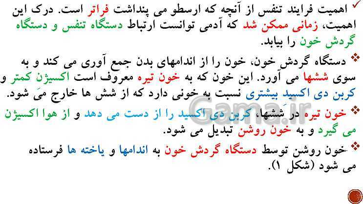 پاورپوینت تدریس زیست شناسی (1) دهم تجربی | فصل 3: تبادلات گازی (گفتار 1 تا 3)- پیش نمایش