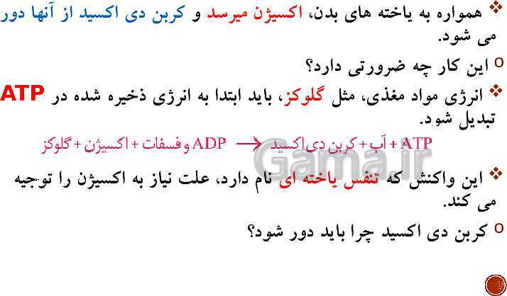 پاورپوینت تدریس زیست شناسی (1) دهم تجربی | فصل 3: تبادلات گازی (گفتار 1 تا 3)- پیش نمایش