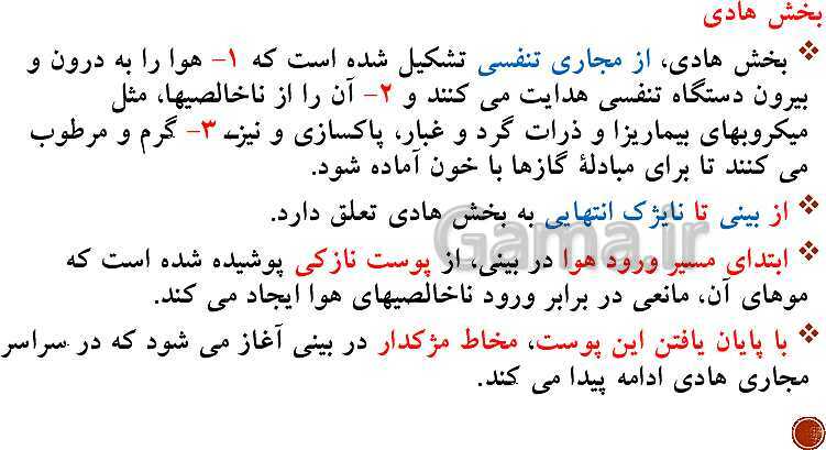 پاورپوینت تدریس زیست شناسی (1) دهم تجربی | فصل 3: تبادلات گازی (گفتار 1 تا 3)- پیش نمایش