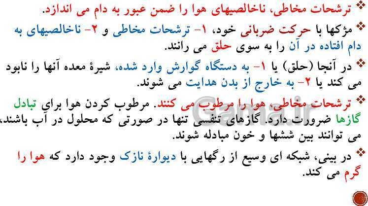 پاورپوینت تدریس زیست شناسی (1) دهم تجربی | فصل 3: تبادلات گازی (گفتار 1 تا 3)- پیش نمایش