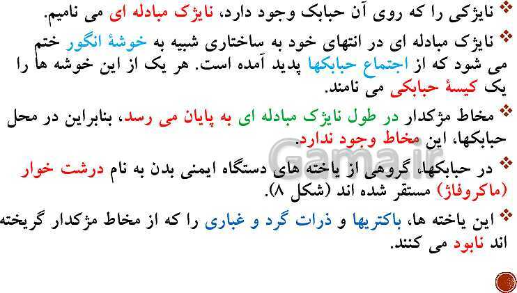 پاورپوینت تدریس زیست شناسی (1) دهم تجربی | فصل 3: تبادلات گازی (گفتار 1 تا 3)- پیش نمایش