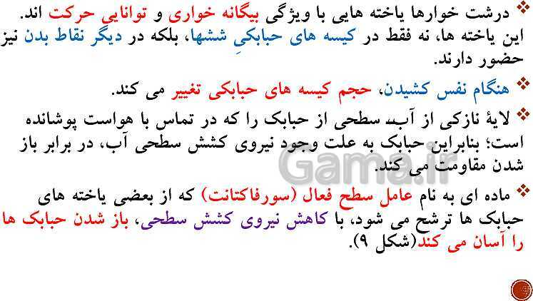 پاورپوینت تدریس زیست شناسی (1) دهم تجربی | فصل 3: تبادلات گازی (گفتار 1 تا 3)- پیش نمایش