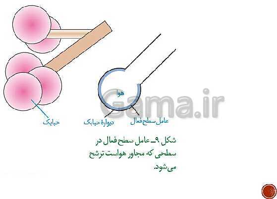 پاورپوینت تدریس زیست شناسی (1) دهم تجربی | فصل 3: تبادلات گازی (گفتار 1 تا 3)- پیش نمایش