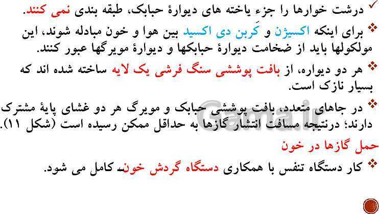 پاورپوینت تدریس زیست شناسی (1) دهم تجربی | فصل 3: تبادلات گازی (گفتار 1 تا 3)- پیش نمایش