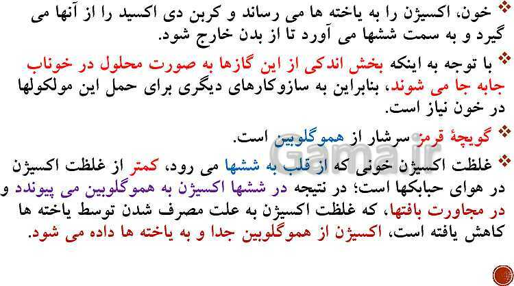 پاورپوینت تدریس زیست شناسی (1) دهم تجربی | فصل 3: تبادلات گازی (گفتار 1 تا 3)- پیش نمایش