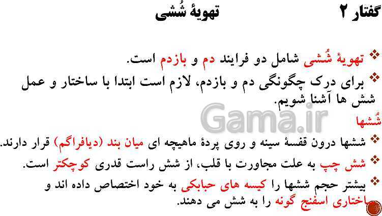 پاورپوینت تدریس زیست شناسی (1) دهم تجربی | فصل 3: تبادلات گازی (گفتار 1 تا 3)- پیش نمایش