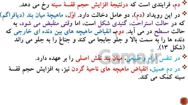 پاورپوینت تدریس زیست شناسی (1) دهم تجربی | فصل 3: تبادلات گازی (گفتار 1 تا 3)- پیش نمایش