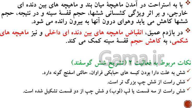 پاورپوینت تدریس زیست شناسی (1) دهم تجربی | فصل 3: تبادلات گازی (گفتار 1 تا 3)- پیش نمایش