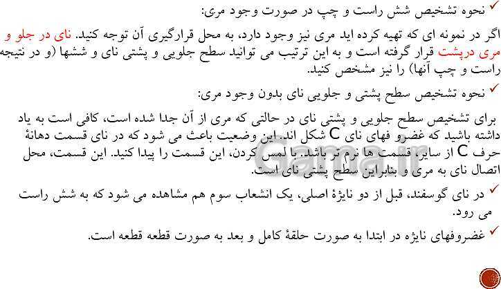 پاورپوینت تدریس زیست شناسی (1) دهم تجربی | فصل 3: تبادلات گازی (گفتار 1 تا 3)- پیش نمایش