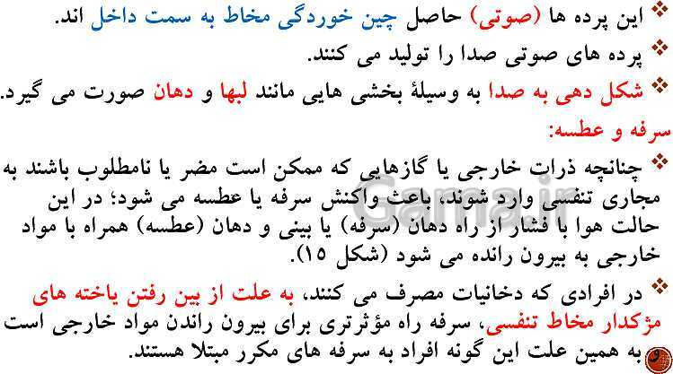 پاورپوینت تدریس زیست شناسی (1) دهم تجربی | فصل 3: تبادلات گازی (گفتار 1 تا 3)- پیش نمایش