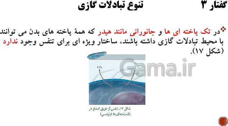 پاورپوینت تدریس زیست شناسی (1) دهم تجربی | فصل 3: تبادلات گازی (گفتار 1 تا 3)- پیش نمایش