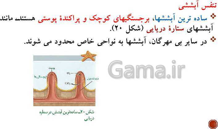 پاورپوینت تدریس زیست شناسی (1) دهم تجربی | فصل 3: تبادلات گازی (گفتار 1 تا 3)- پیش نمایش