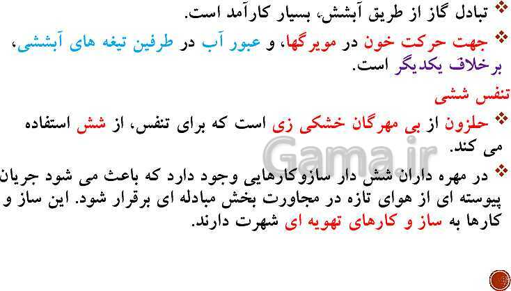 پاورپوینت تدریس زیست شناسی (1) دهم تجربی | فصل 3: تبادلات گازی (گفتار 1 تا 3)- پیش نمایش