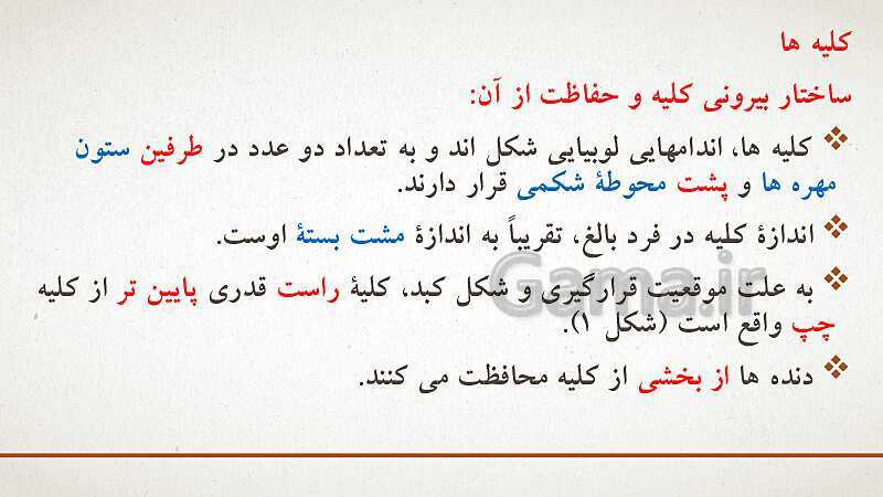 پاورپوینت تدریس زیست شناسی (1) دهم تجربی | فصل 5: تنظیم اسمزی و دفع مواد زائد (گفتار 1 تا 3)- پیش نمایش