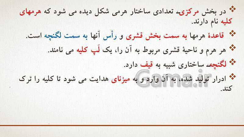 پاورپوینت تدریس زیست شناسی (1) دهم تجربی | فصل 5: تنظیم اسمزی و دفع مواد زائد (گفتار 1 تا 3)- پیش نمایش