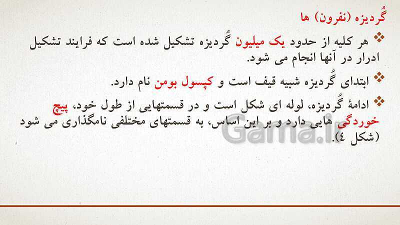 پاورپوینت تدریس زیست شناسی (1) دهم تجربی | فصل 5: تنظیم اسمزی و دفع مواد زائد (گفتار 1 تا 3)- پیش نمایش