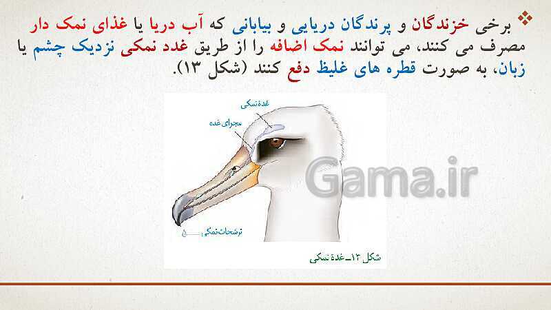 پاورپوینت تدریس زیست شناسی (1) دهم تجربی | فصل 5: تنظیم اسمزی و دفع مواد زائد (گفتار 1 تا 3)- پیش نمایش