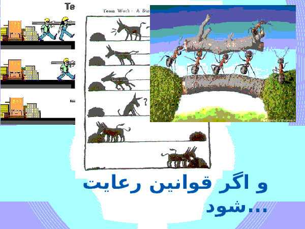 بایدها و نبایدهای کار گروهی - پیش نمایش