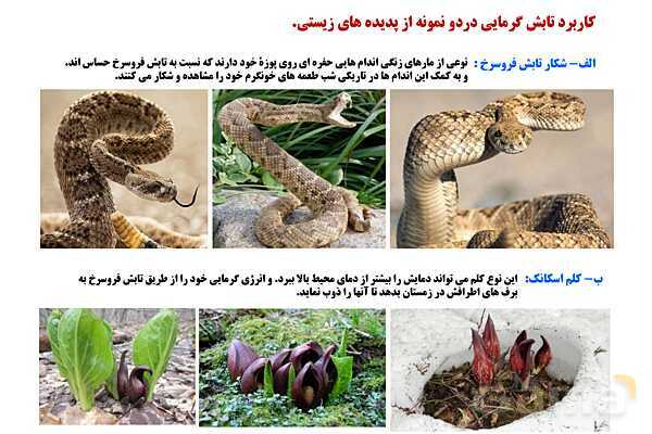 پاورپوینت آموزشی درس فیزیک (1) دهم | فصل 4: دما و گرما (تغییر حالت های ماده و روش های انتقال گرما)- پیش نمایش
