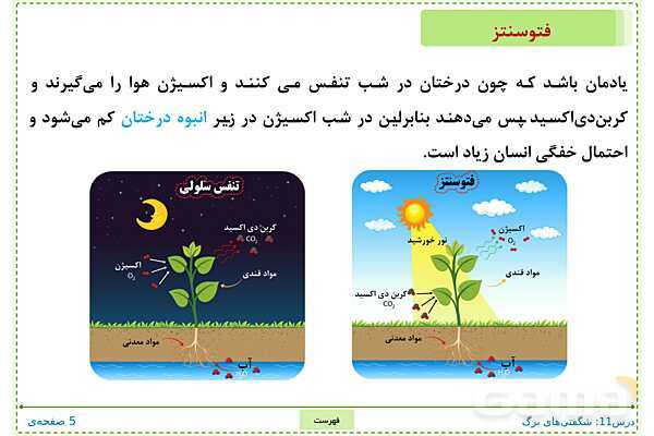 پاورپوینت تدریس علوم تجربی ششم دبستان | درس 11: شگفتی‌های برگ- پیش نمایش