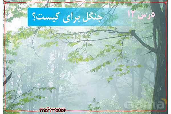 پاورپوینت تدریس علوم تجربی ششم دبستان | درس 12: جنگل برای کیست؟- پیش نمایش