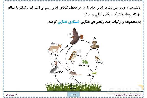 پاورپوینت تدریس علوم تجربی ششم دبستان | درس 12: جنگل برای کیست؟- پیش نمایش