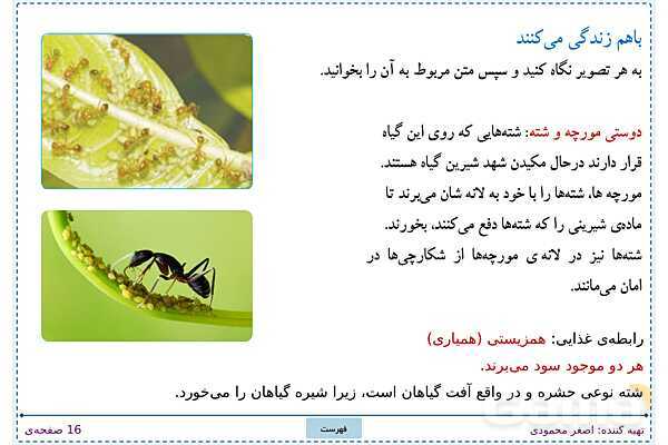 پاورپوینت تدریس علوم تجربی ششم دبستان | درس 12: جنگل برای کیست؟- پیش نمایش