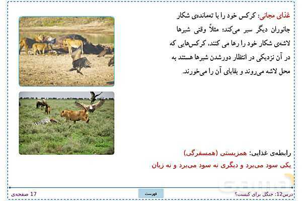 پاورپوینت تدریس علوم تجربی ششم دبستان | درس 12: جنگل برای کیست؟- پیش نمایش
