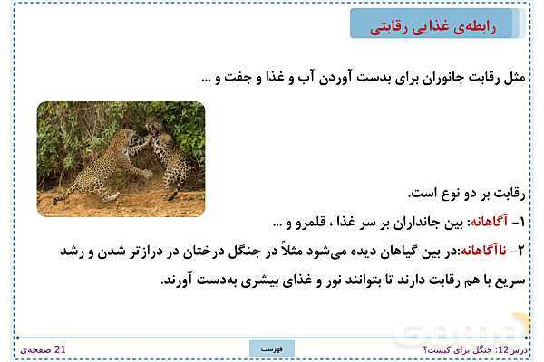 پاورپوینت تدریس علوم تجربی ششم دبستان | درس 12: جنگل برای کیست؟- پیش نمایش