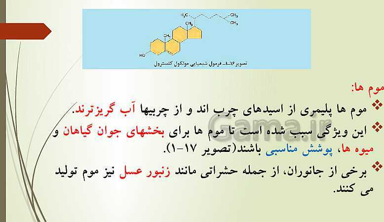 پاورپوینت زیست شناسی فنی دهم هنرستان | فصل 1: حیات و زیست شناسی- پیش نمایش