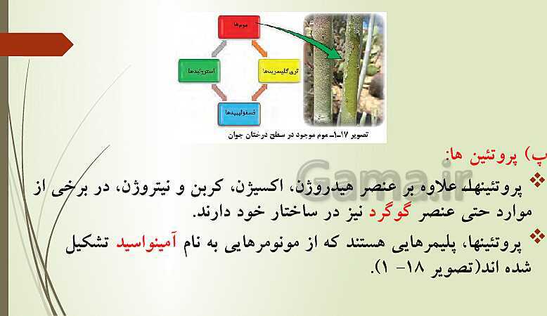 پاورپوینت زیست شناسی فنی دهم هنرستان | فصل 1: حیات و زیست شناسی- پیش نمایش