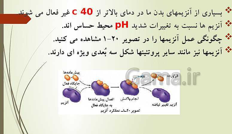 پاورپوینت زیست شناسی فنی دهم هنرستان | فصل 1: حیات و زیست شناسی- پیش نمایش