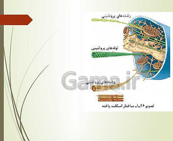 پاورپوینت زیست شناسی فنی دهم هنرستان | فصل 1: حیات و زیست شناسی- پیش نمایش